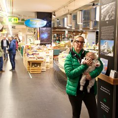 IMG 221